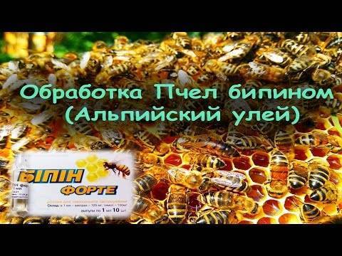 Дозировка бипина при обработке пчел осенью