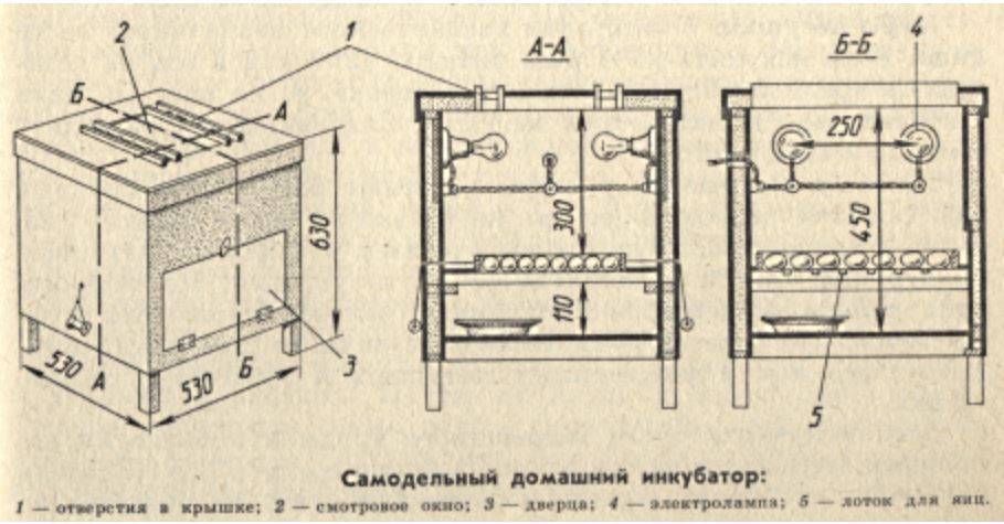 Схема инкубатора блиц
