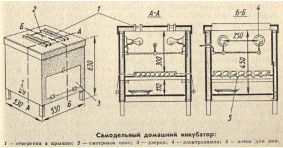 Инкубатор из пеноплекса своими руками чертежи с размерами