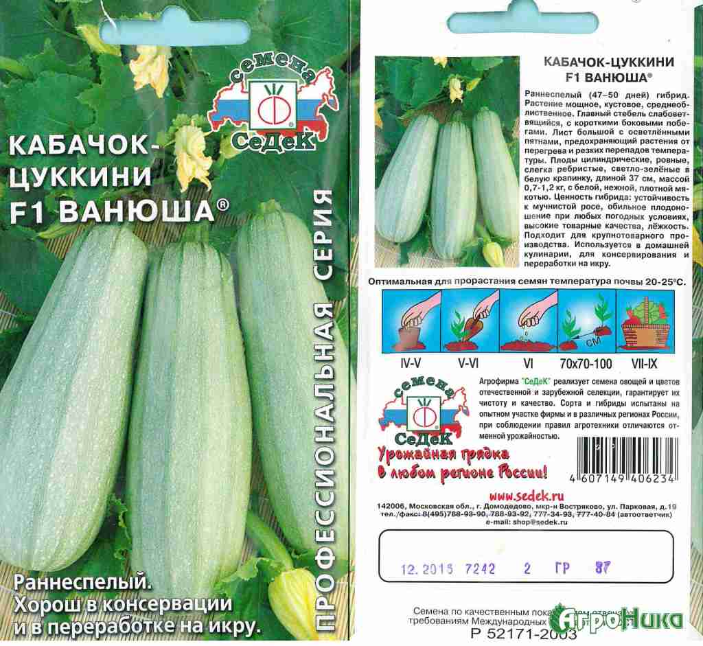 Кабачки кустовые: урожайные сорта, описания, фото, отзывы • удачный проект