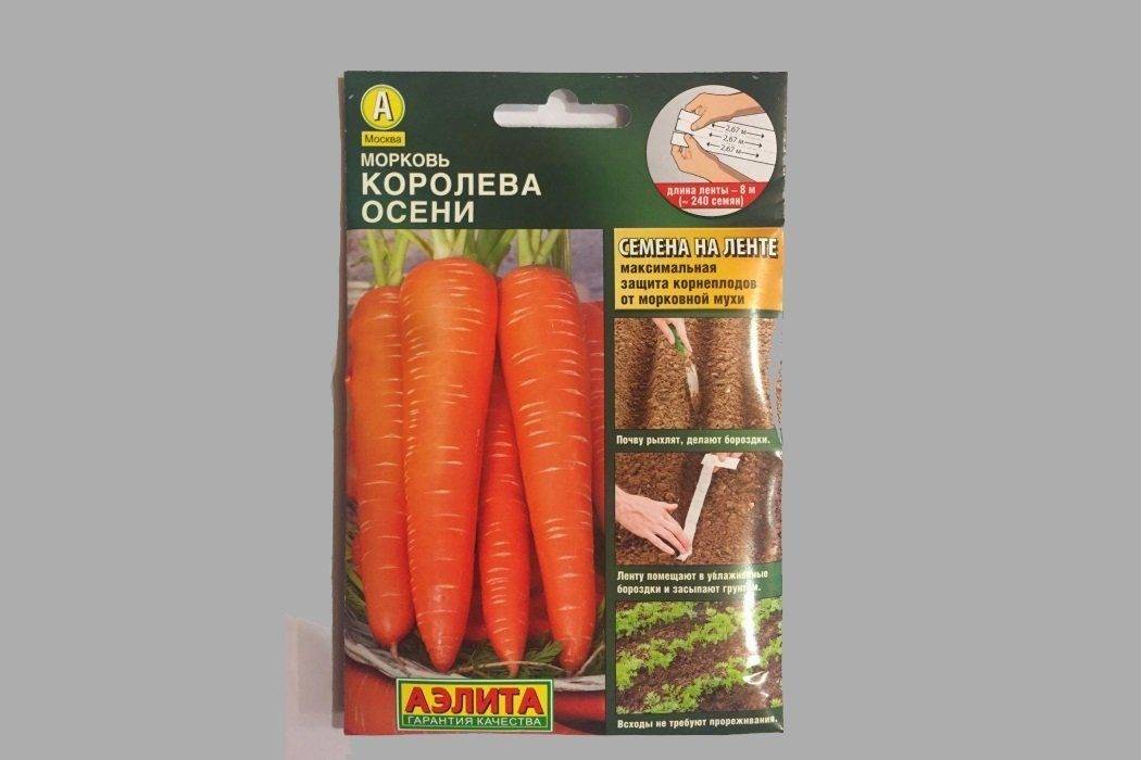 Морковь королева осени: описание и характеристики сорта, урожайность и хранение овоща + посадка и уход, отзывы дачников
