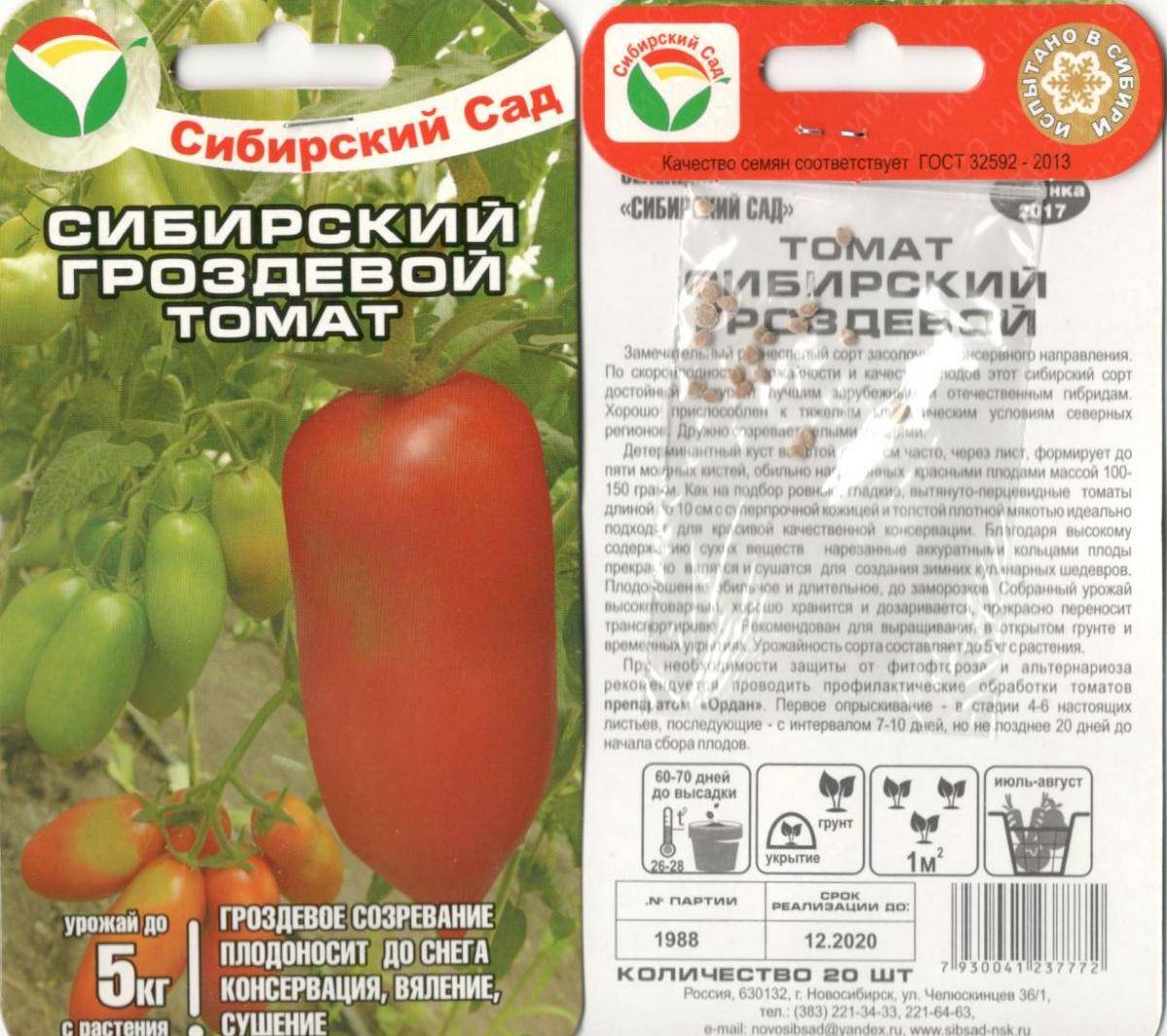 Томат французский гроздевой: характеристика и описание сорта
