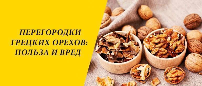 Настойка из перегородок грецких орехов: польза и вред, как сделать, особенности применения