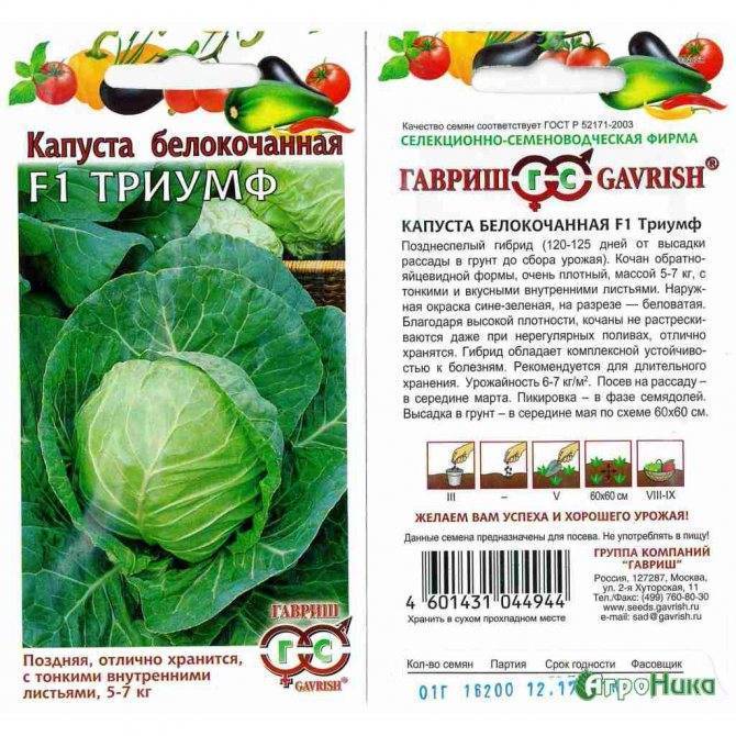 Капуста: виды (белокочанная, савойская, брокколи, брюссельская), описание 33 лучших сортов, особенности агротехники (фото & видео) +отзывы