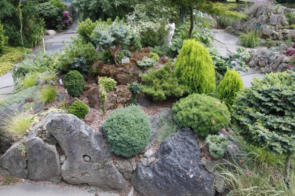 Рокарий в ландшафте участка - правила создания - сад и клумба