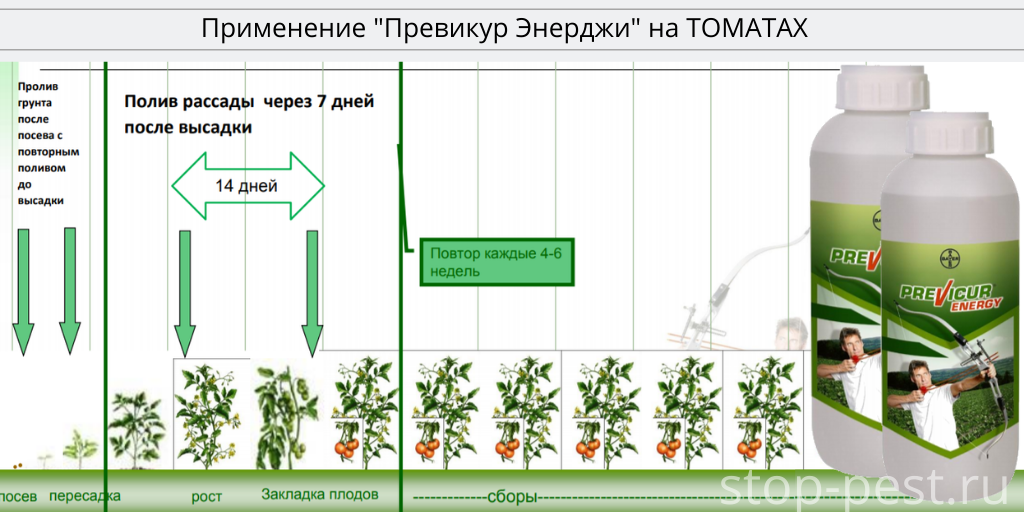 Превикур энерджи отзывы. Кладоспориоз Превикур. Превикур Энерджи 20 мл. Превикур Энерджи 60мл (144). Аналог препарата Превикур Энерджи.