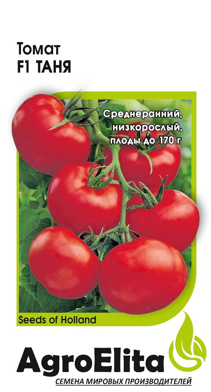 Голландский томат с русским именем «таня» — описание гибрида f1 | садоводство24