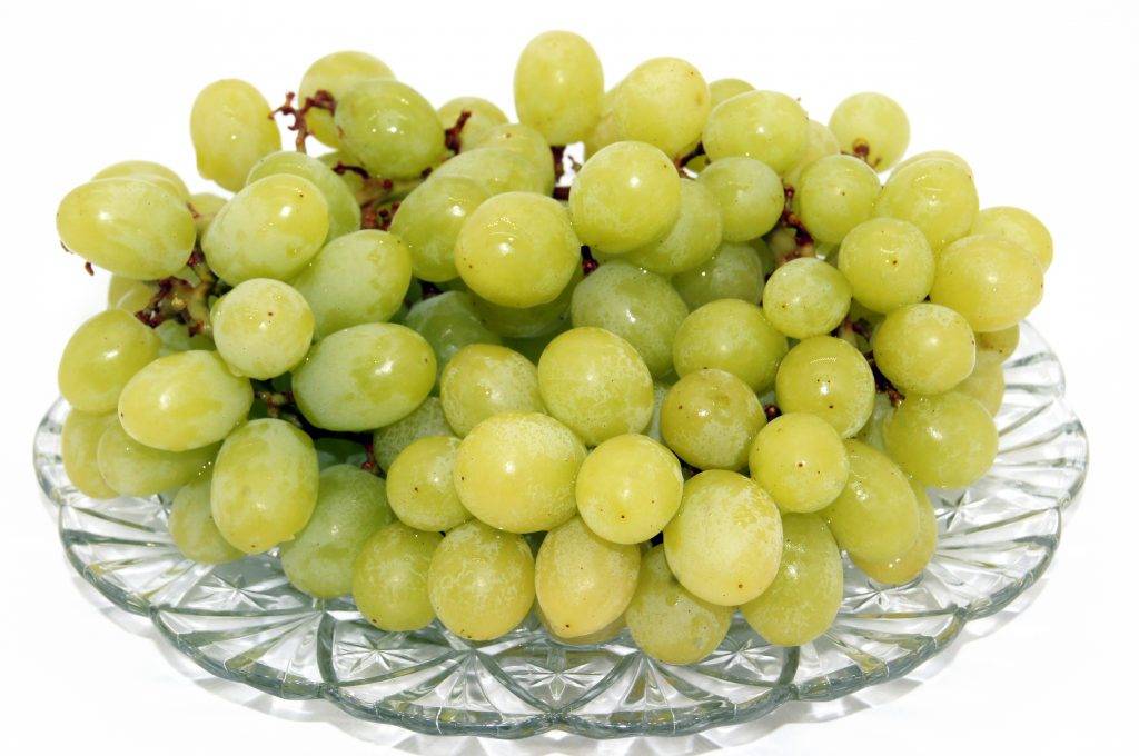 Сорт винограда белое чудо фото и описание. виноград белое чудо: особенности сорта