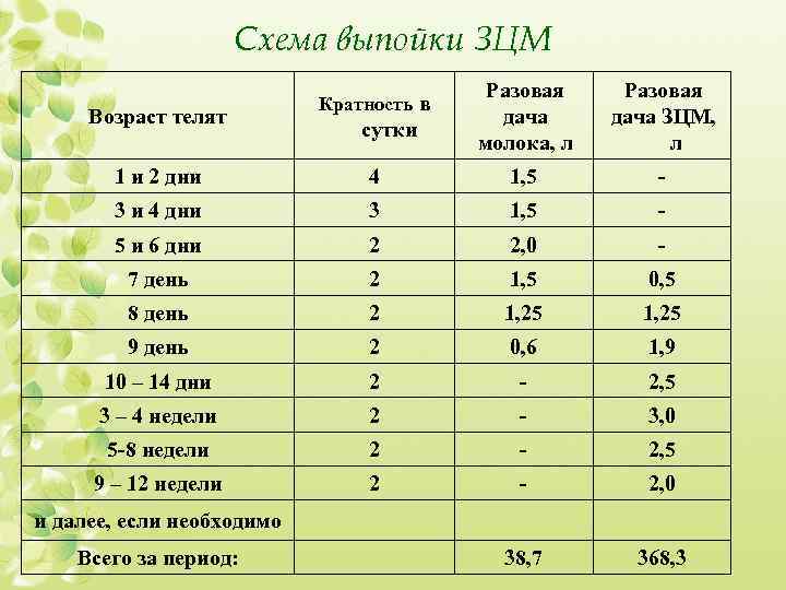 Схема выпойки телят до 3 месяцев зцм