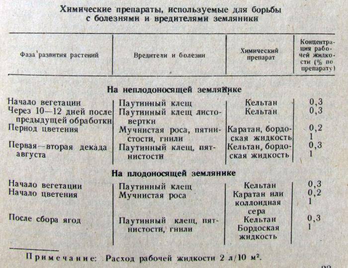 Схема обработки земляники - 90 фото