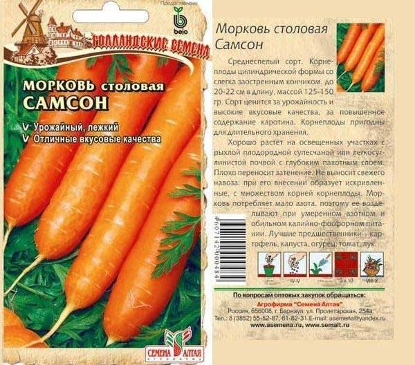 Особенности ухода и выращивания моркови алтайская лакомка