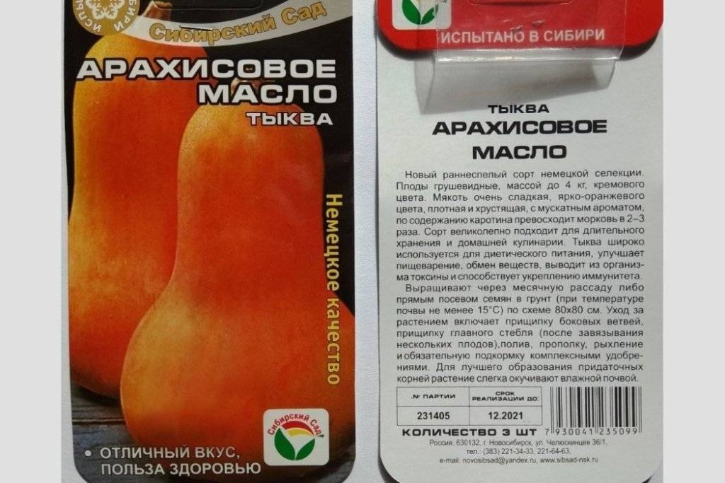 Тыква гитара медовая, испанская: описание и фото, отзывы, выращивание