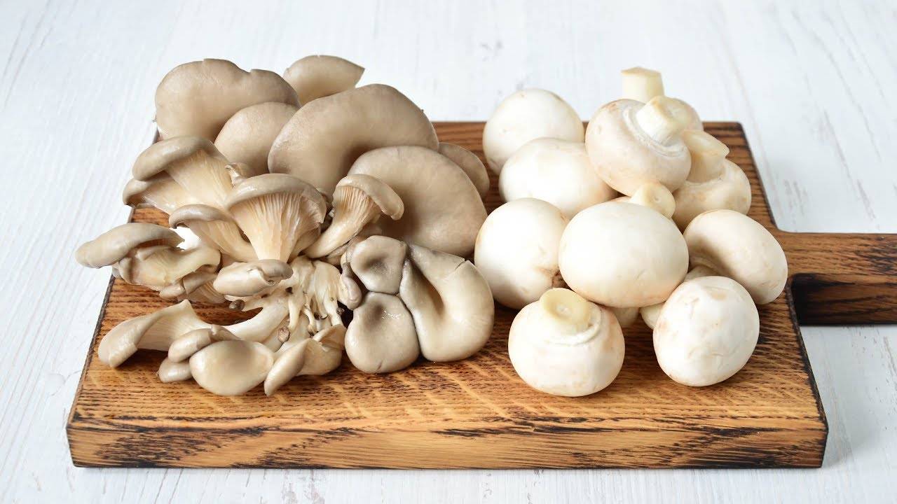 Какие грибы можно есть сырыми. какие грибы сырыми едят.