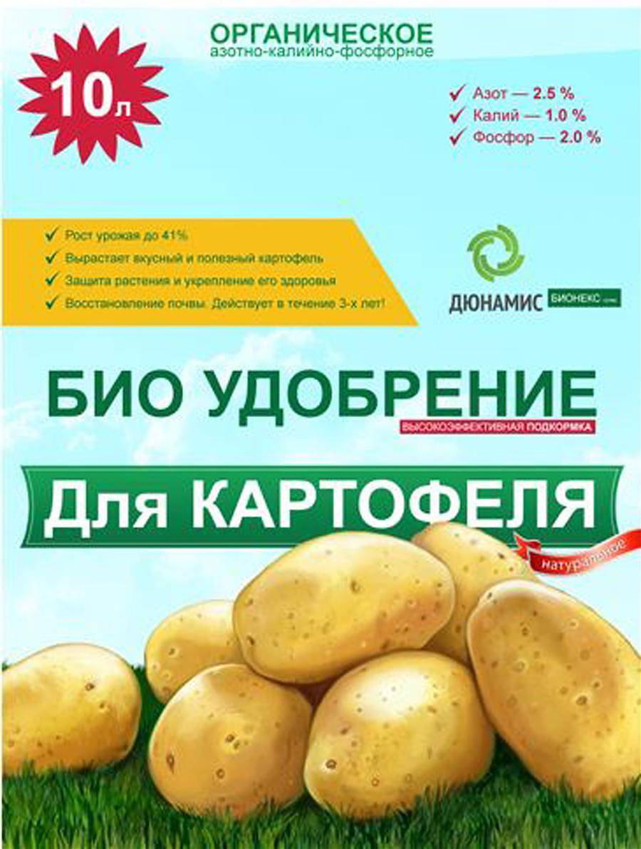 Удобрения для картофеля при посадке и осенью: виды, как вносить