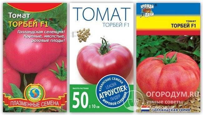 Голландский сорт торбей f1: характеристика и урожайность помидор