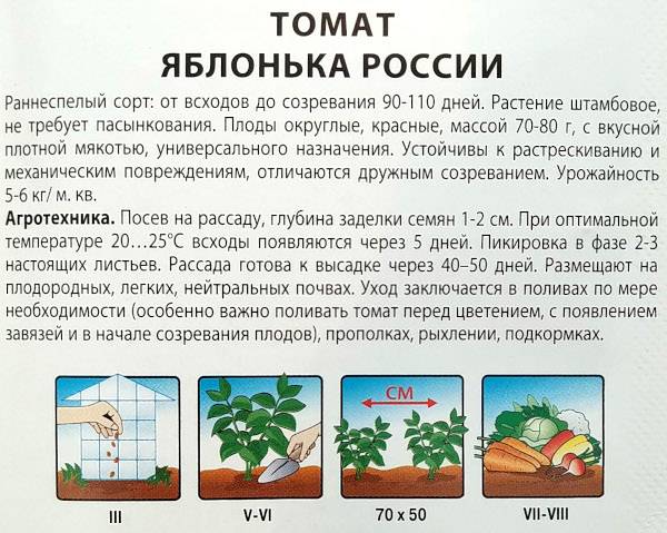 Томаты «яблонька россии»: как, не напрягаясь, снять сотню помидоров с куста