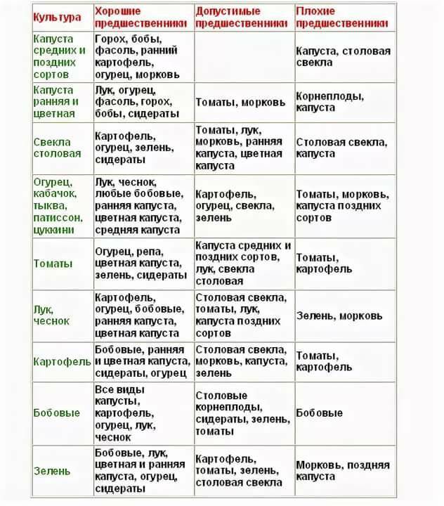 5 принципов севооборота на огороде что после чего сажать