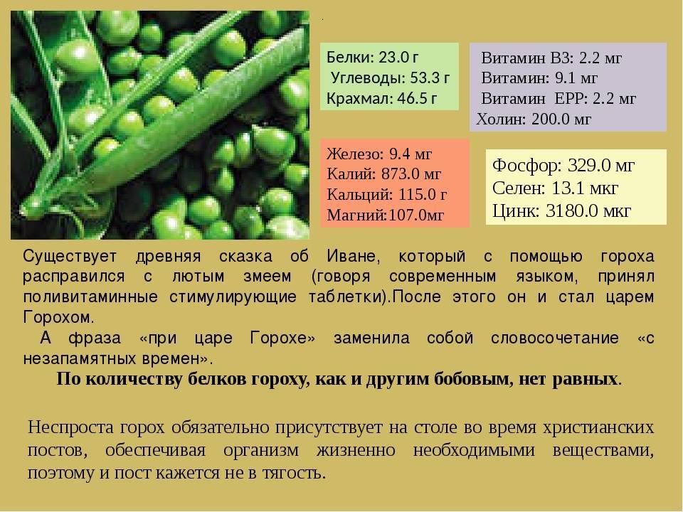 Калорийность кукуруза. химический состав и пищевая ценность.