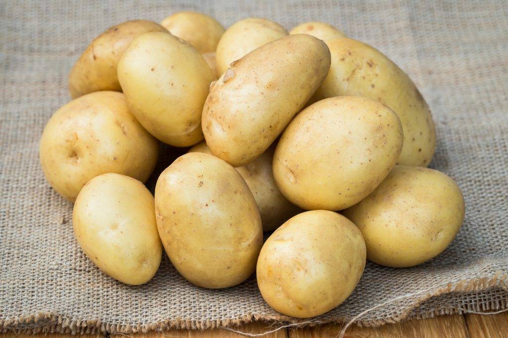 Описание сорта картофеля уладар