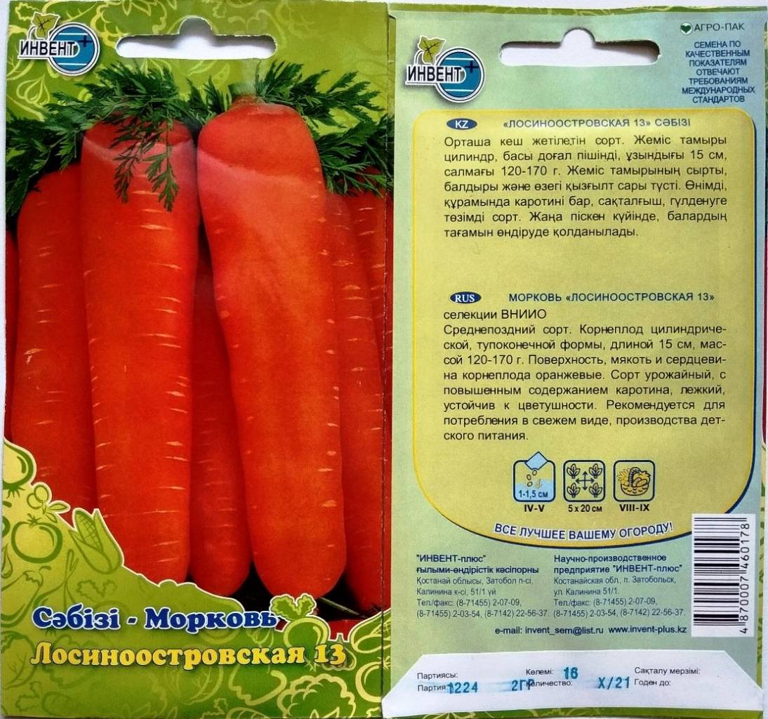 Морковь лосиноостровская 13: описание, отзывы, фото и советы по выращиванию