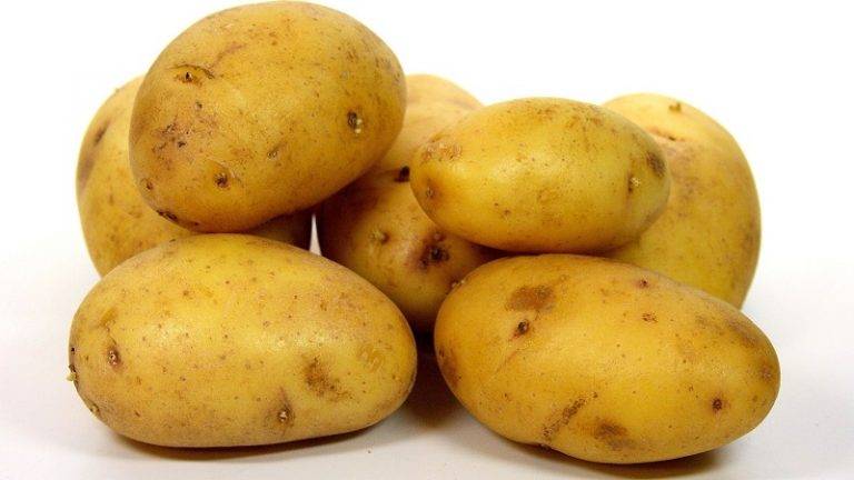 Характеристика, описание, урожайность, отзывы и фото сорта картофеля «зекура».