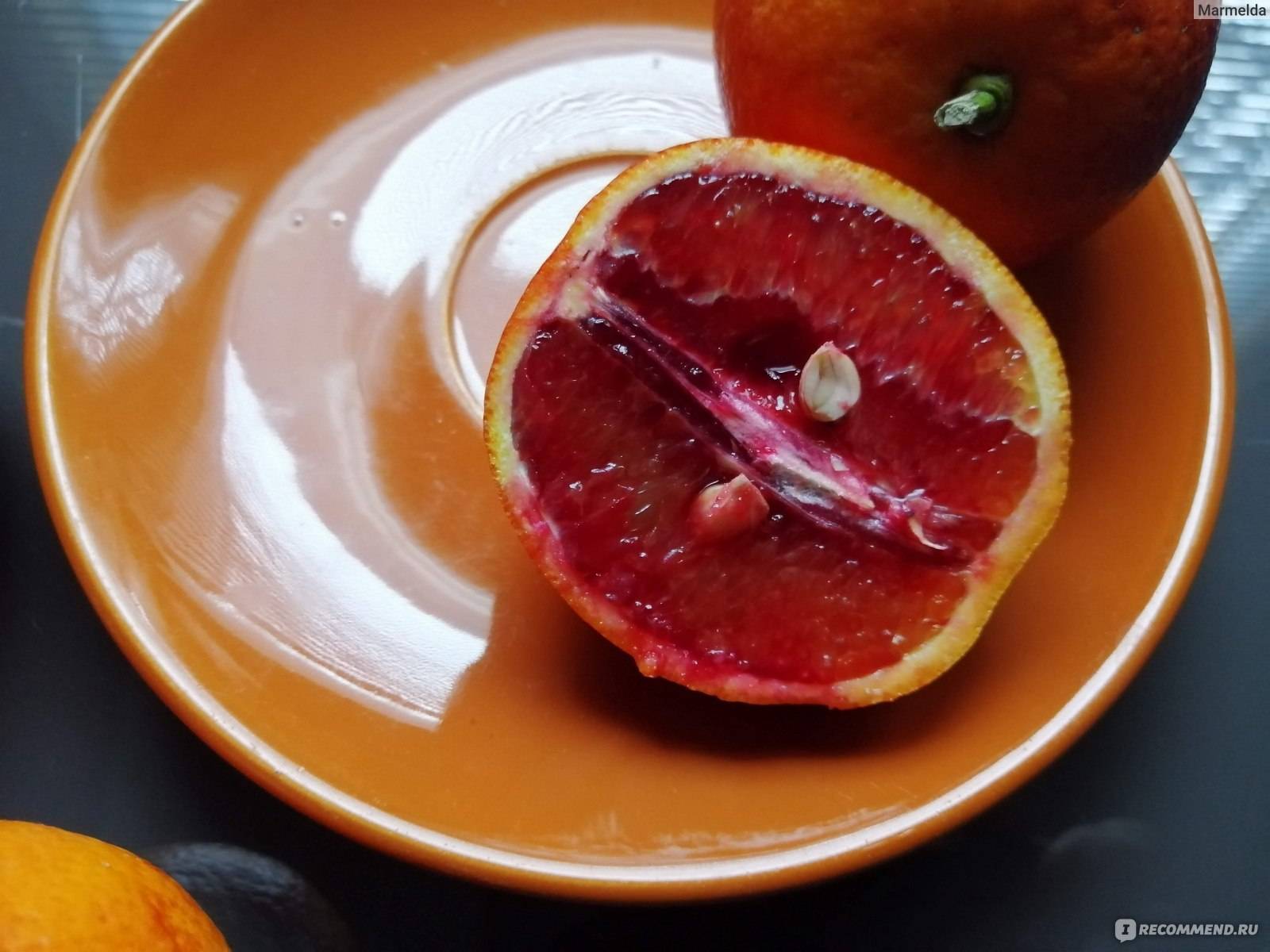 Апельсин – описание, виды и сорта, как растут, гибриды, фото