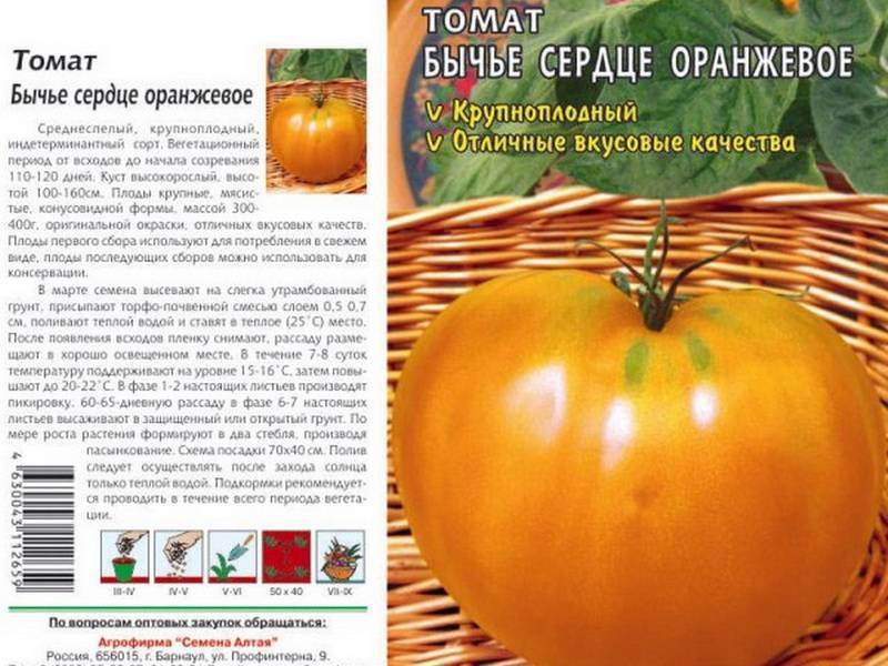 Томат бычье сердце — описание и характеристика, фото, отзывы, видео.