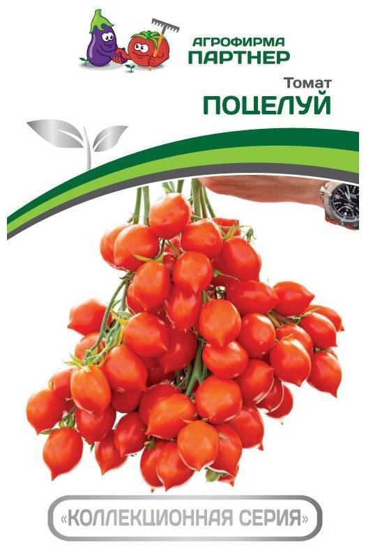 Томат дачное лакомство - fermnamilion