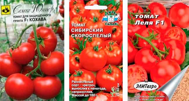 ✅ о томате гаспачо: описание сорта, характеристики помидоров, посев