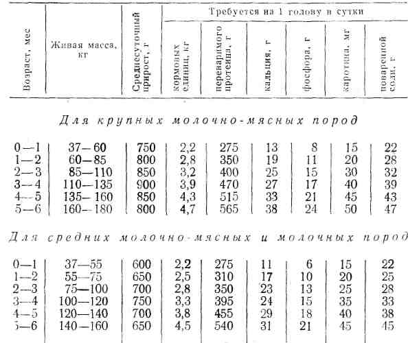 Схема кормления телят от 0 до 6 месяцев