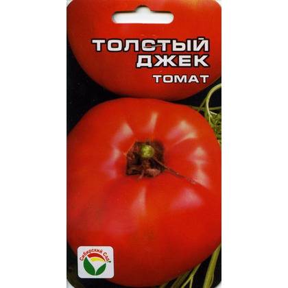 Томат «толстый джек» - отличный сорт для открытого грунта