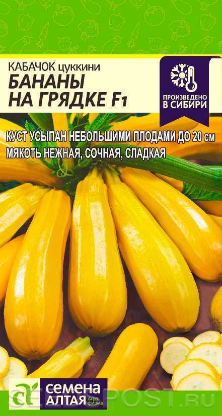 Кабачок желтый: 10 популярных сортов