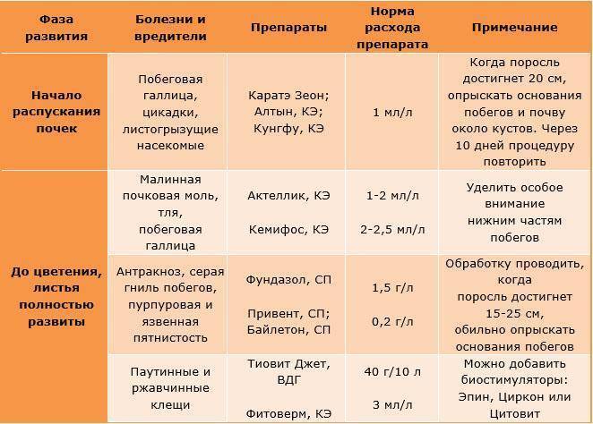 Схема обработки клубники весной от болезней и вредителей