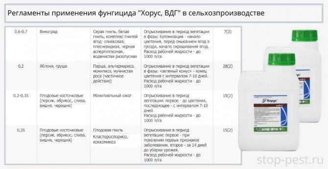 Препарат скор: отзывы, инструкция по применению, аналоги фунгицида