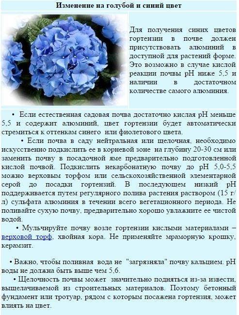 Как и чем подкислить почву в домашних условиях? как подкислить почву уксусом, лимонной кислотой, серой, органическими веществами?
