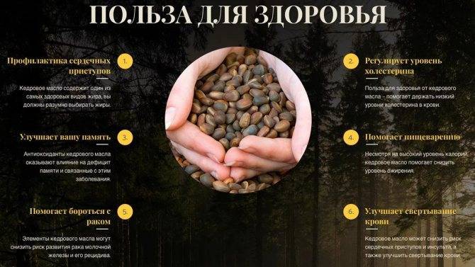 ᐉ как почистить орехи кедровые - godacha.ru