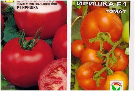 Томат иришка: характеристика и описание сорта помидоров, отзывы дачников со стажем, фото кустов и полученных плодов