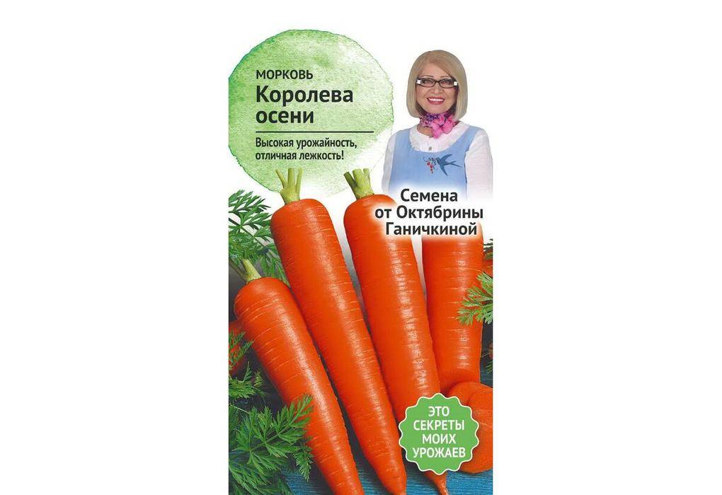 Морковь осенний король: описание и характеристика позднего сорта