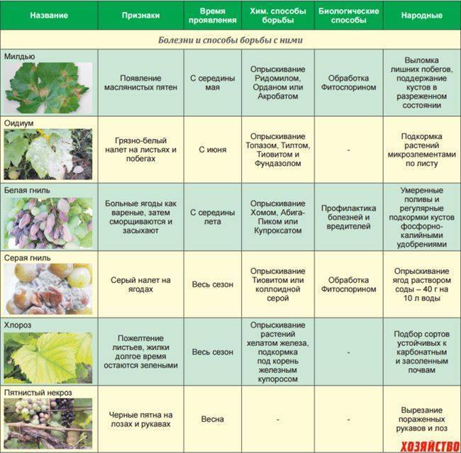 Фунгицид абига-пик: применение препарата для различных культурных растений сада и огорода