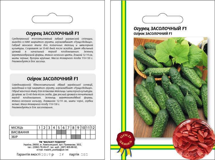 Засолочные сорта огурцов для теплицы: тонкости выращивания | огородник