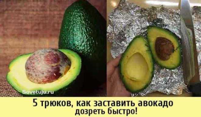 Как сделать чтобы авокадо дозрело быстрее
