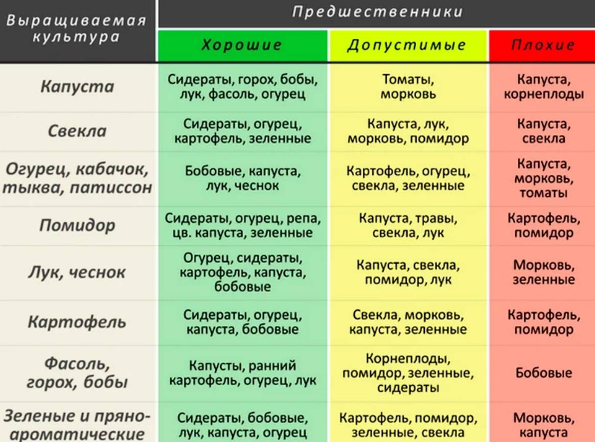 Севооборот схема чередования