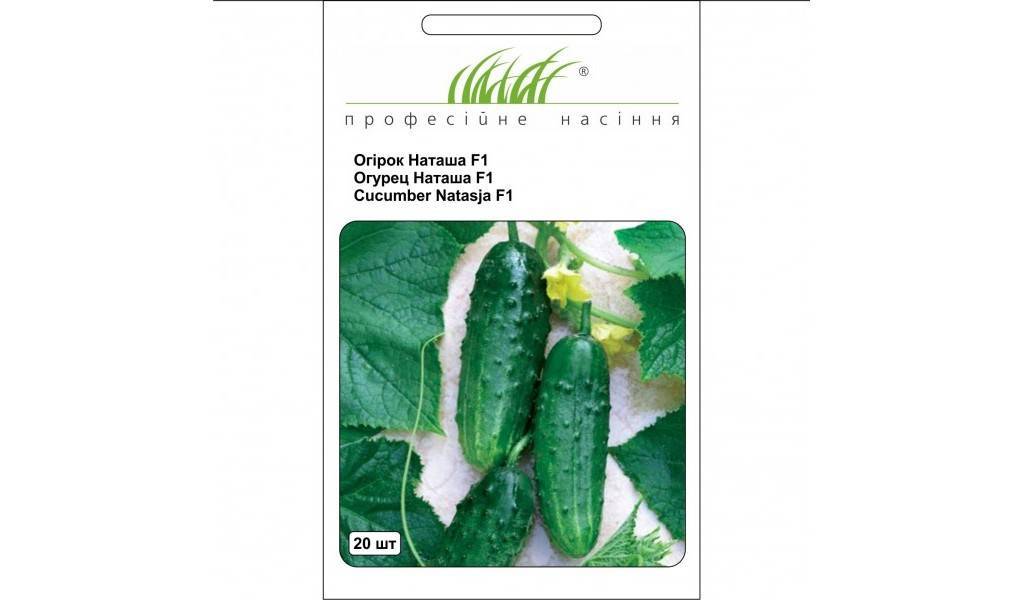 Огурцы наташа f1: отзывы, характеристика и описание сорта, выращивание и уход, устойчивость и урожайность