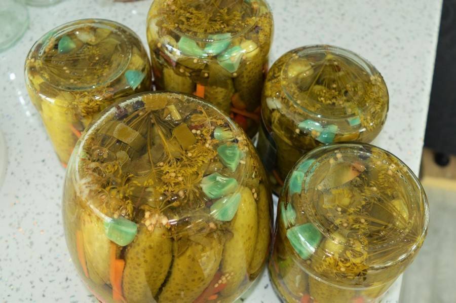 Почему чеснок зеленеет: причины проблемы при консервации в маринаде и жарке, а также методы её устранения