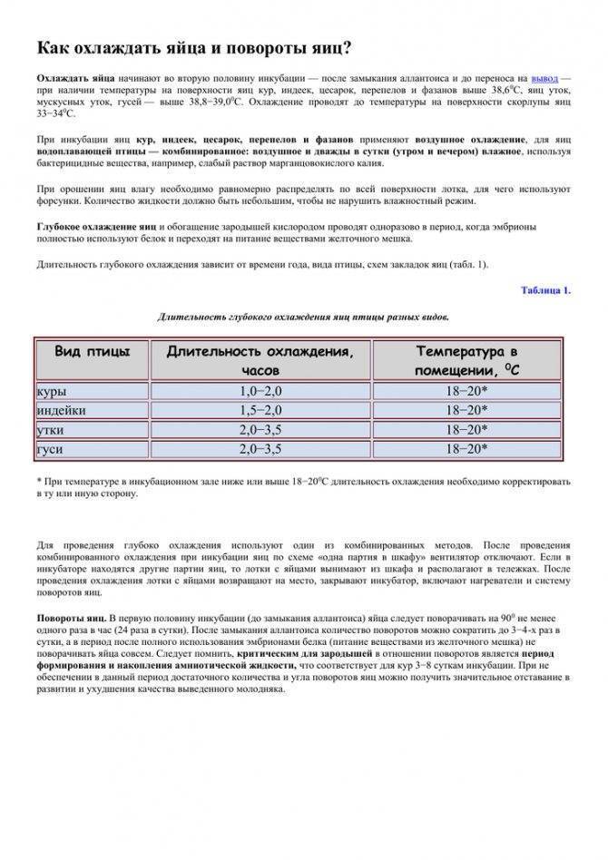 Схема инкубации перепелиных яиц