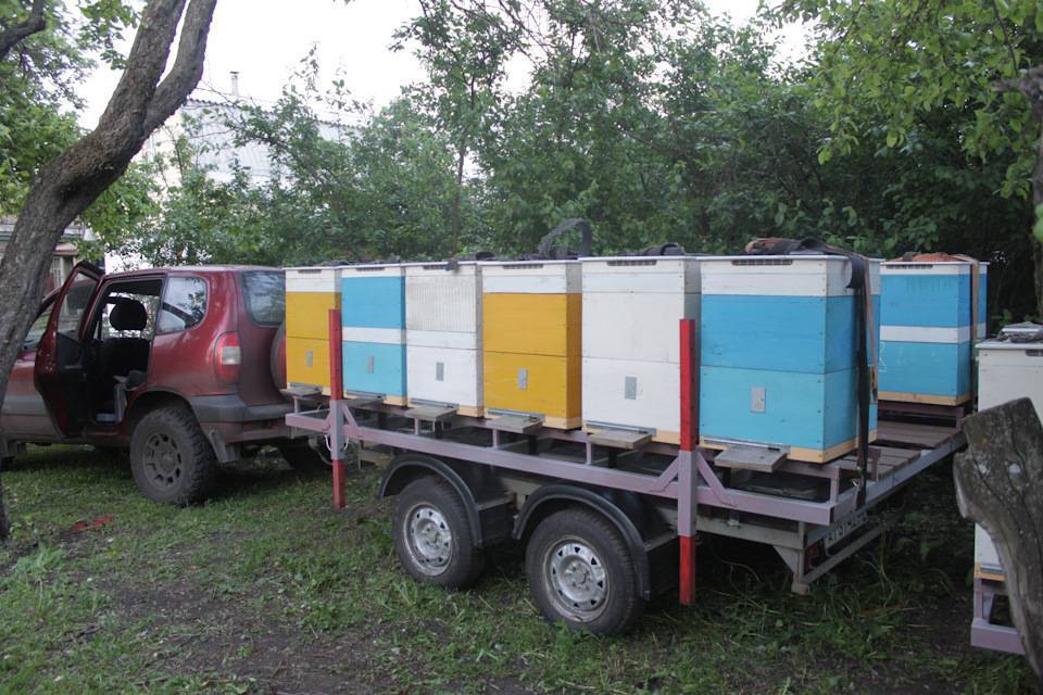 Делаем прицеп для перевозки пчёл своими руками
