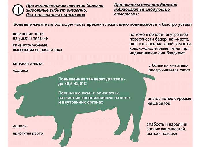 Памятка для населения по профилактике ачс