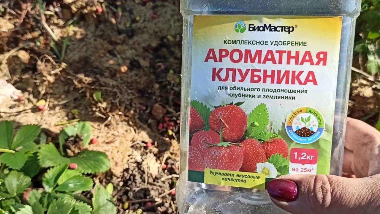 Фото удобрений для клубники