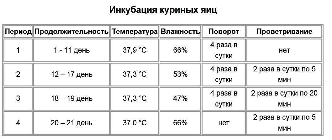 Схема инкубации цесарок