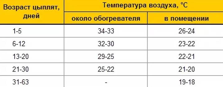 Лампа для цыплят-бройлеров: описание лучших, правила использования